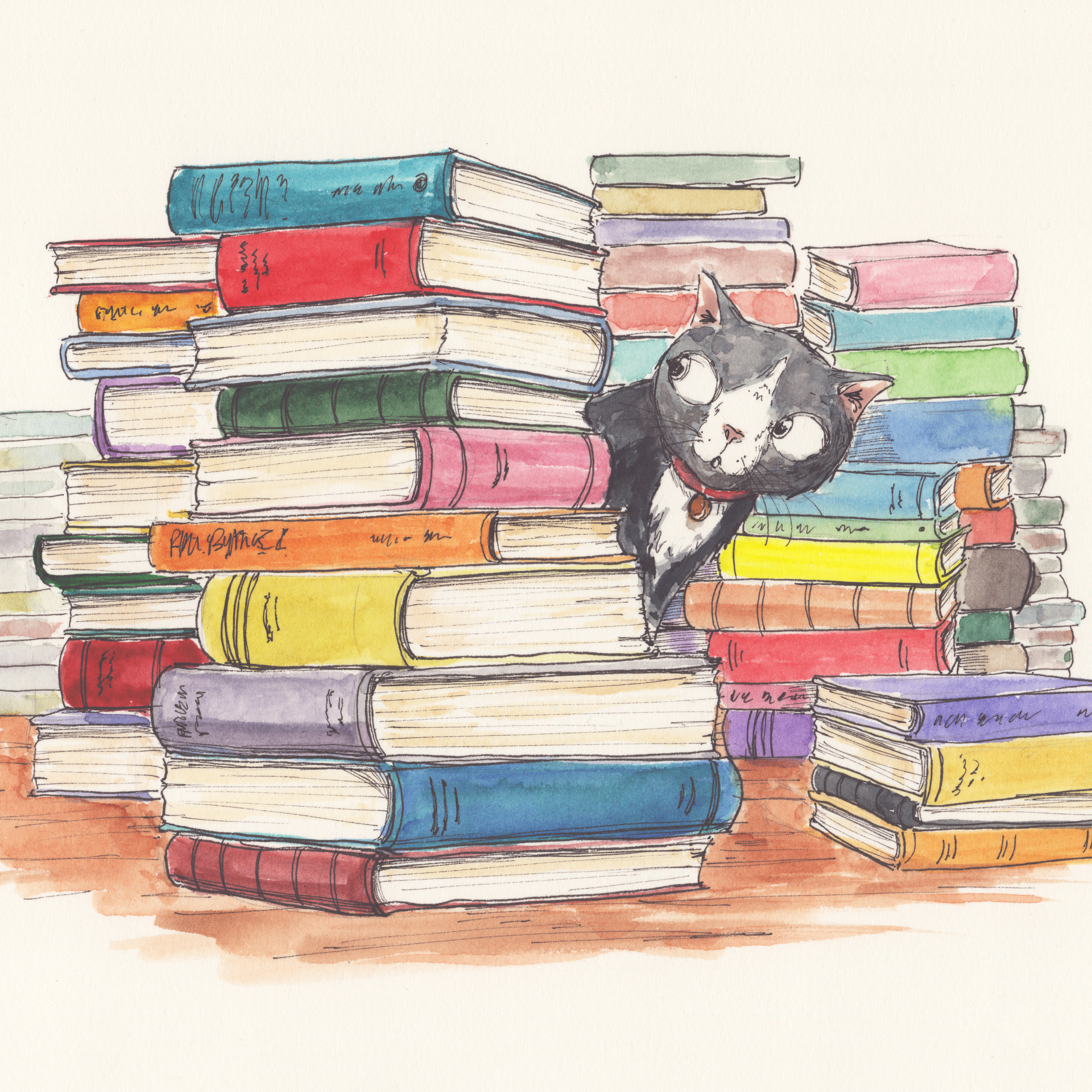 “The Adventures of David A. Meow” Children’s Illustrated Book