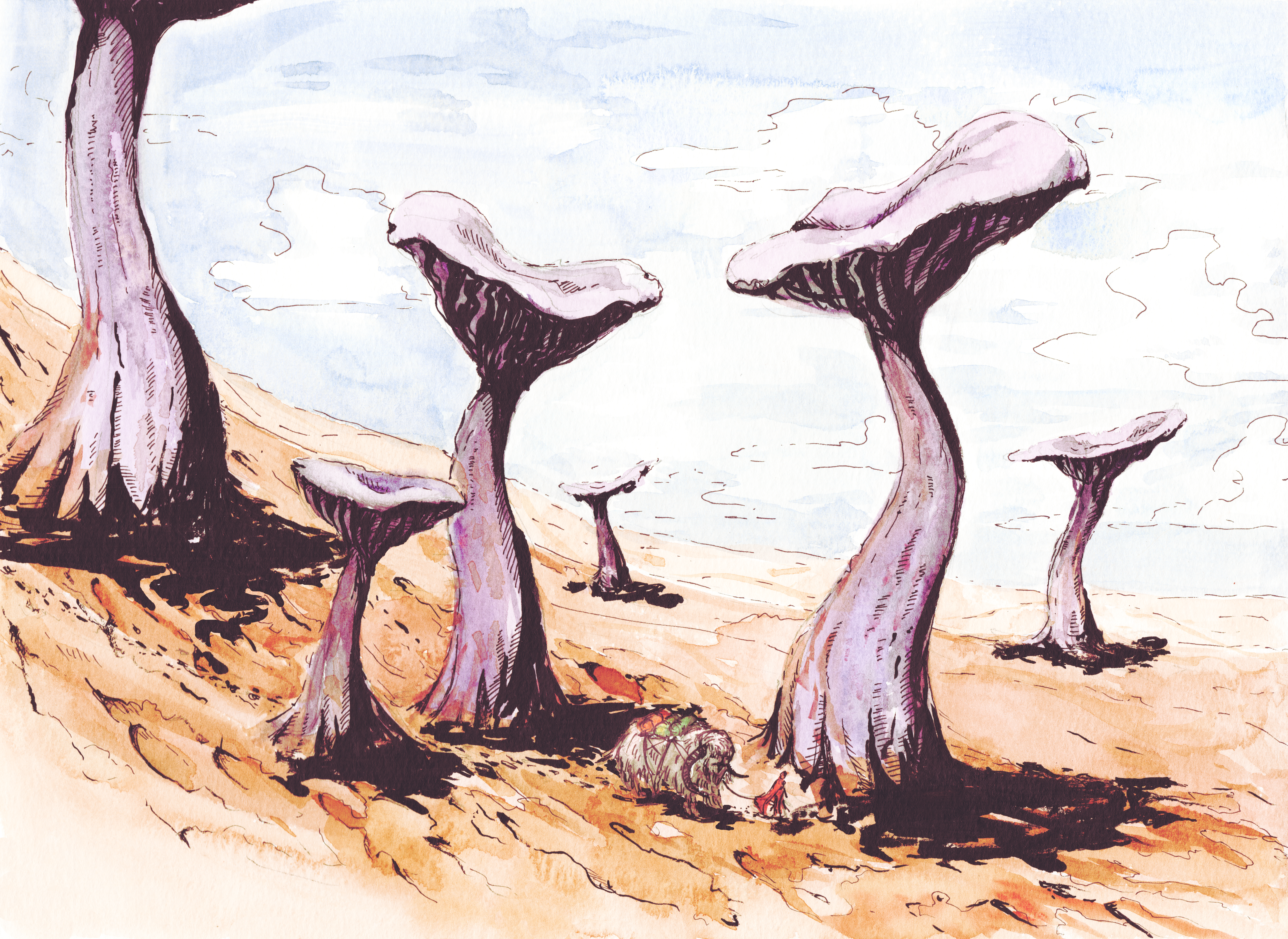 Wanderer Series – Desert