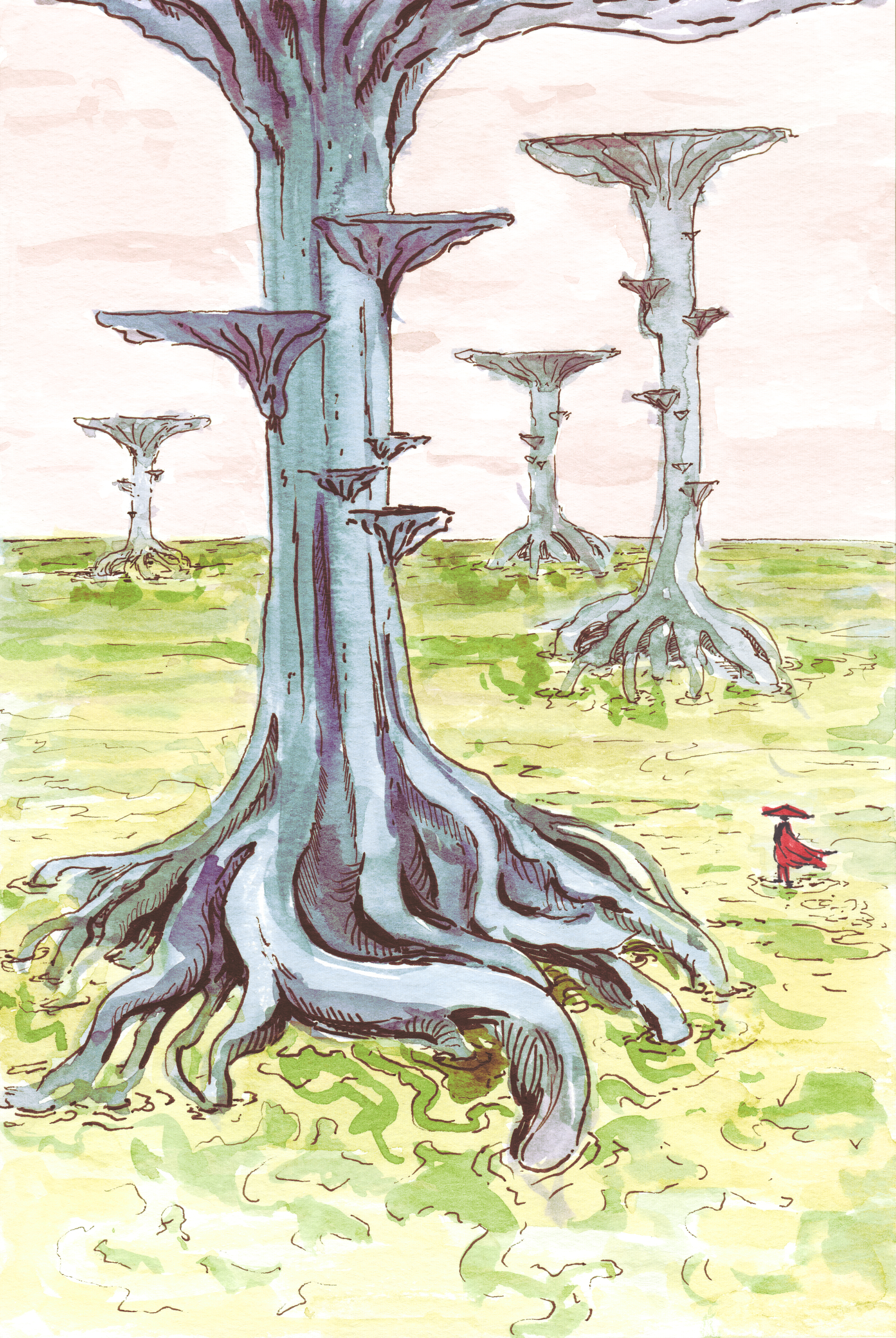 Wanderer Series – Swamp