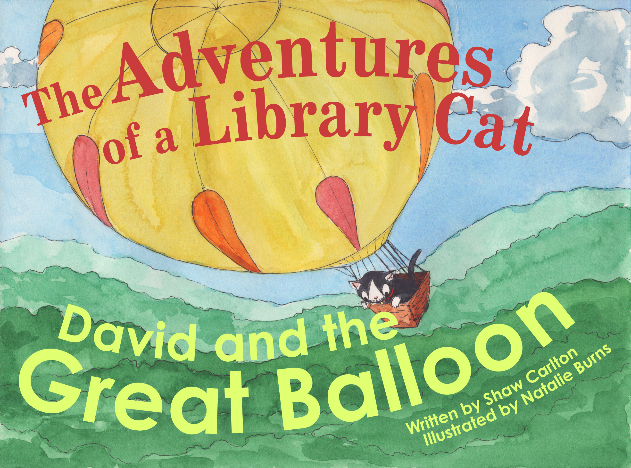 “David and the Great Balloon” Children’s Illustrated Book